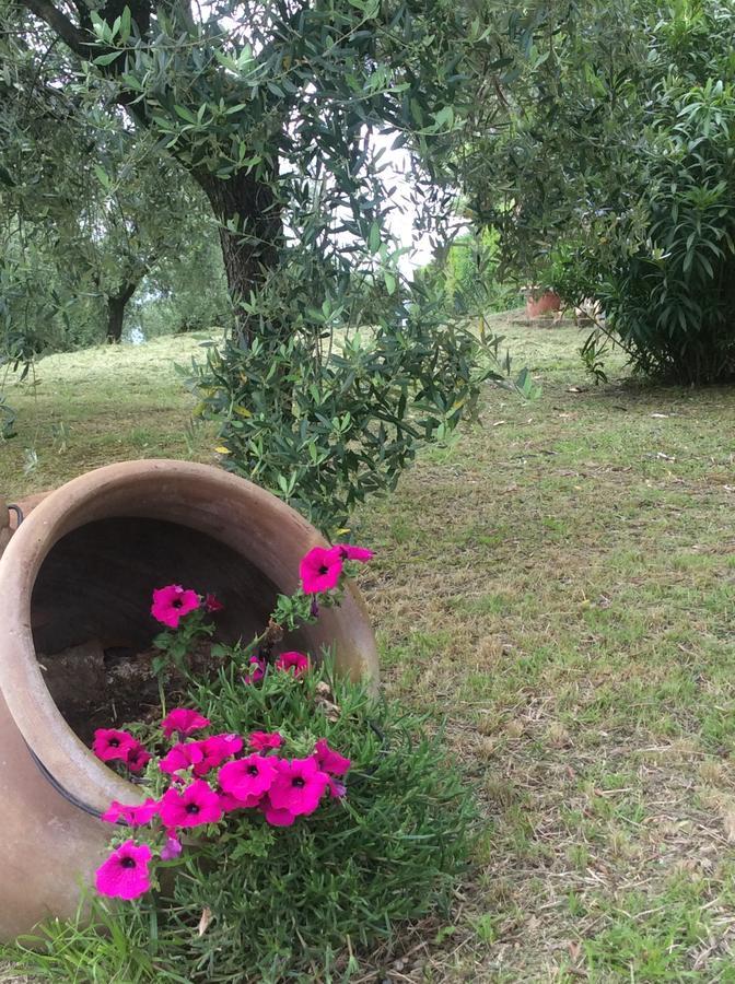 Tenuta Gaetano Spadaro Capannori Exterior photo